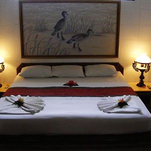 Duplex Suite